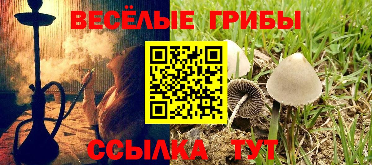 Новосибирск  Галлюциногенные грибы Psilocybine cubensis  Вход с VPN 